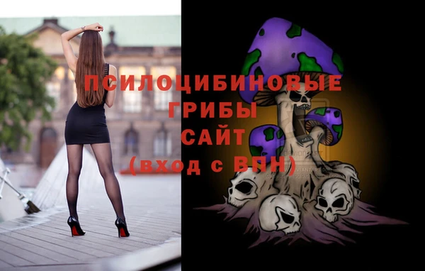 винт Арсеньев