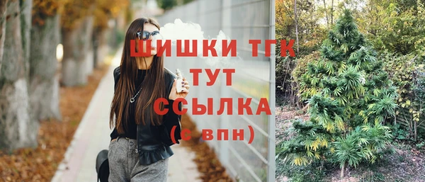 винт Арсеньев