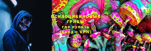 PSILOCYBIN Аркадак