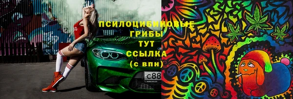 PSILOCYBIN Аркадак