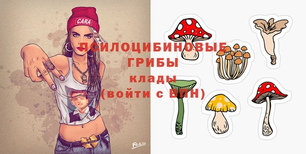 винт Арсеньев