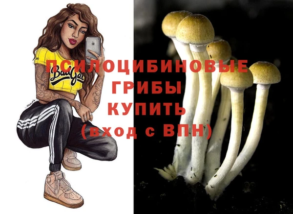 винт Арсеньев