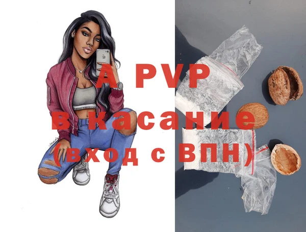 PSILOCYBIN Аркадак