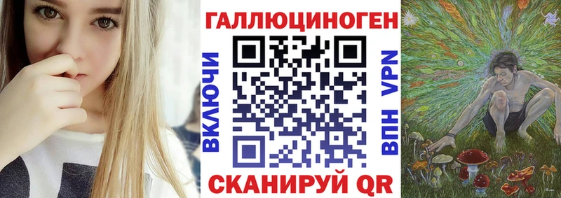 мега   Полярные Зори  Псилоцибиновые грибы Cubensis 